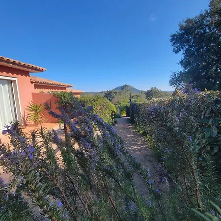 A Vigna Vecchia - 3 Pieces Sud Vecchio Porto-Vecchio (Corsica)