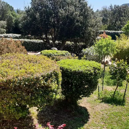 A Vigna Vecchia - 3 Pieces Sud Vecchio Bed & Breakfast Porto-Vecchio (Corsica)