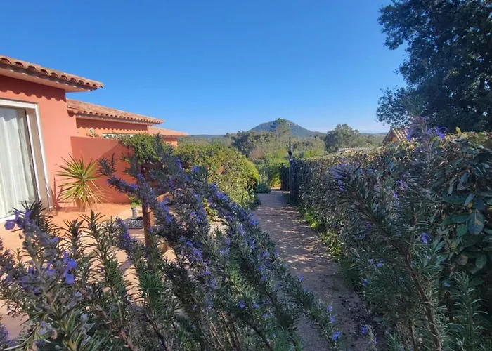 A Vigna Vecchia - 3 Pieces Sud Vecchio Porto-Vecchio