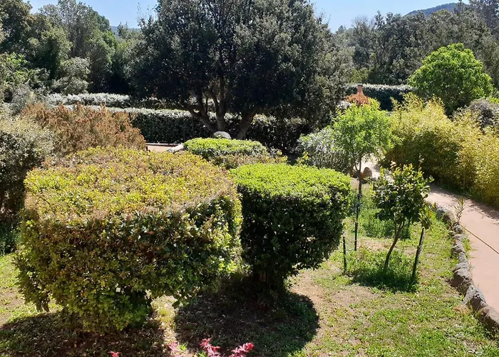 A Vigna Vecchia - 3 Pieces Sud Vecchio Oda ve Kahvaltı Porto-Vecchio (Corsica)