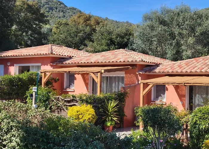 Oda ve Kahvaltı A Vigna Vecchia - 3 Pieces Sud Vecchio Porto-Vecchio (Corsica)